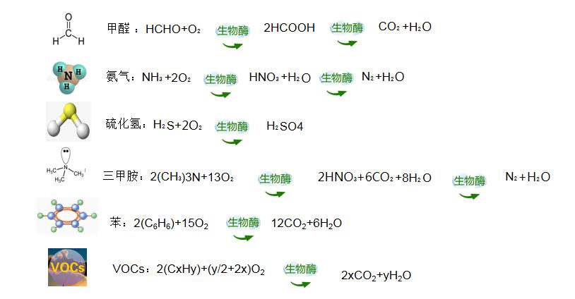 福賽生物酶凈化分解技術(shù)助力空氣治理健康安全升級(jí)